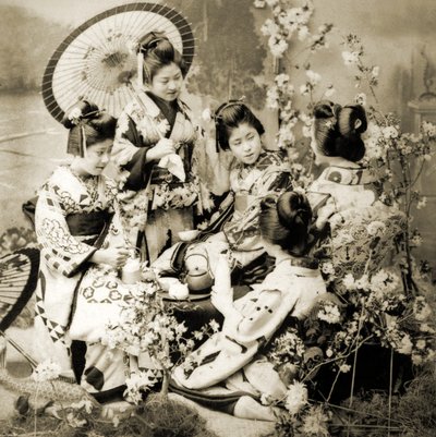 Among the Cherry Blossoms by Japanese Photographer